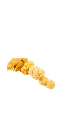 Jakar Natural Sea Sponge Variety Pack 4-6 Pieces
