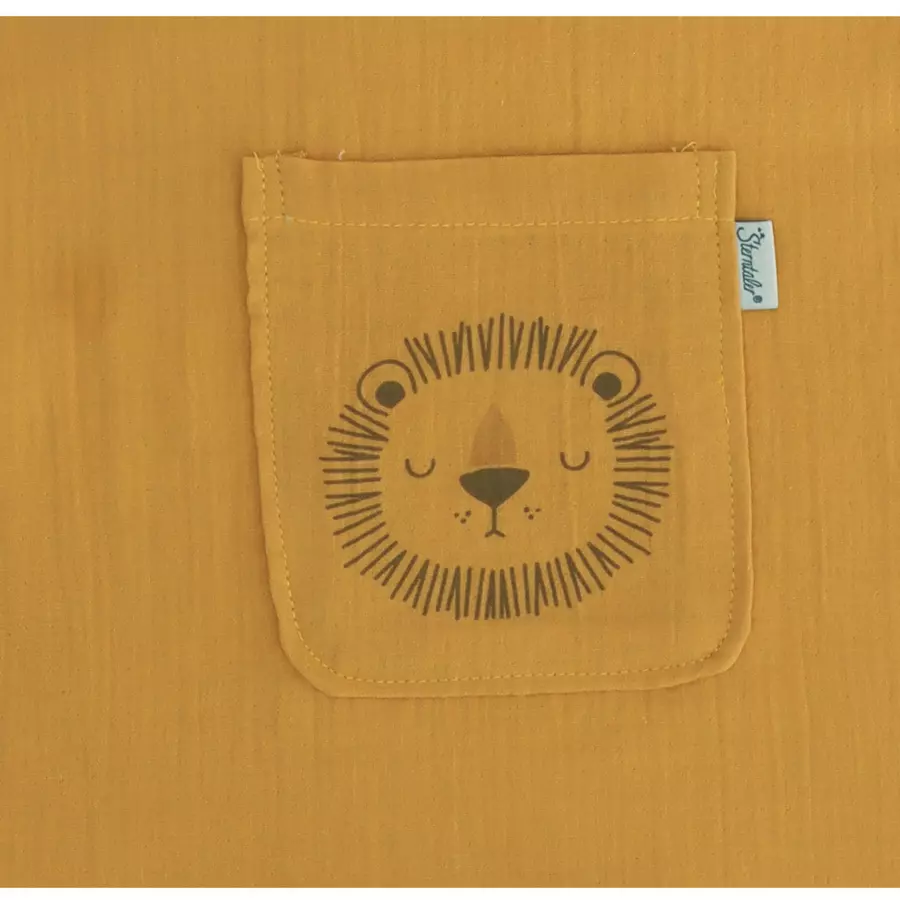 Sterntaler Badeponcho Lio rost