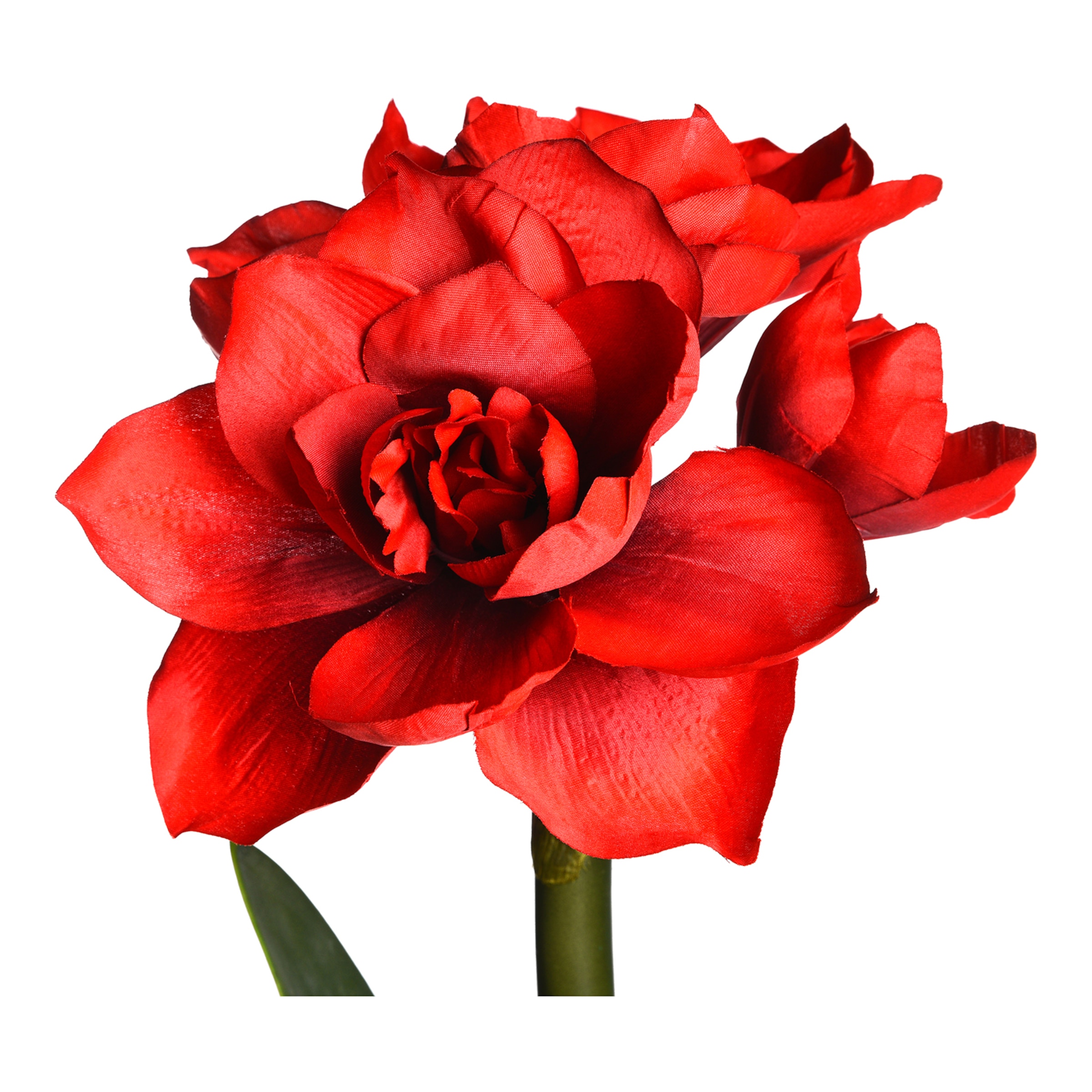 rot, H 58 cm