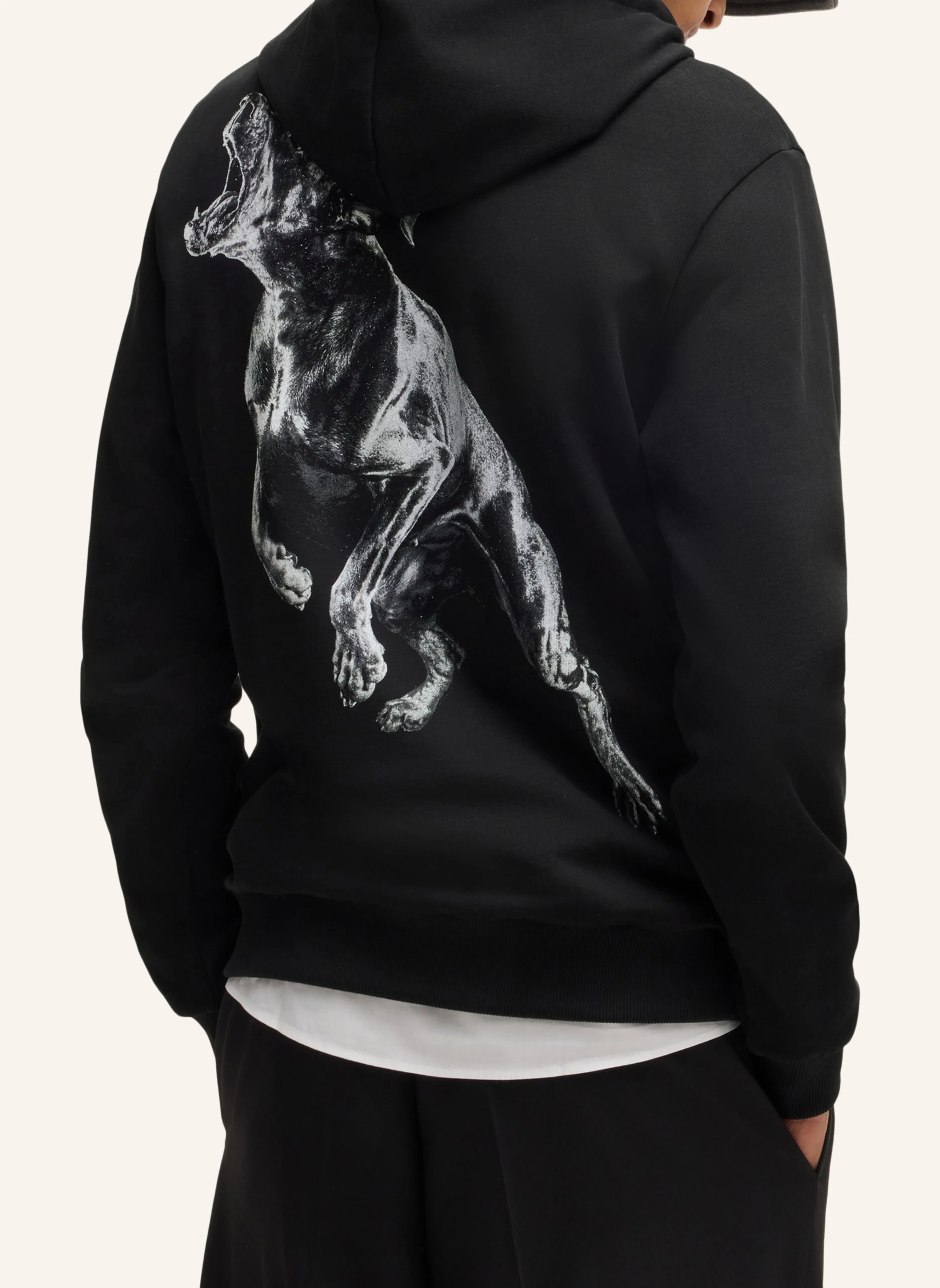 HUGO Sweatshirt DUELEYO Regular Fit