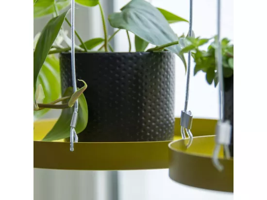 Support à plantes rond à suspendre doré Diamètre de 24 cm