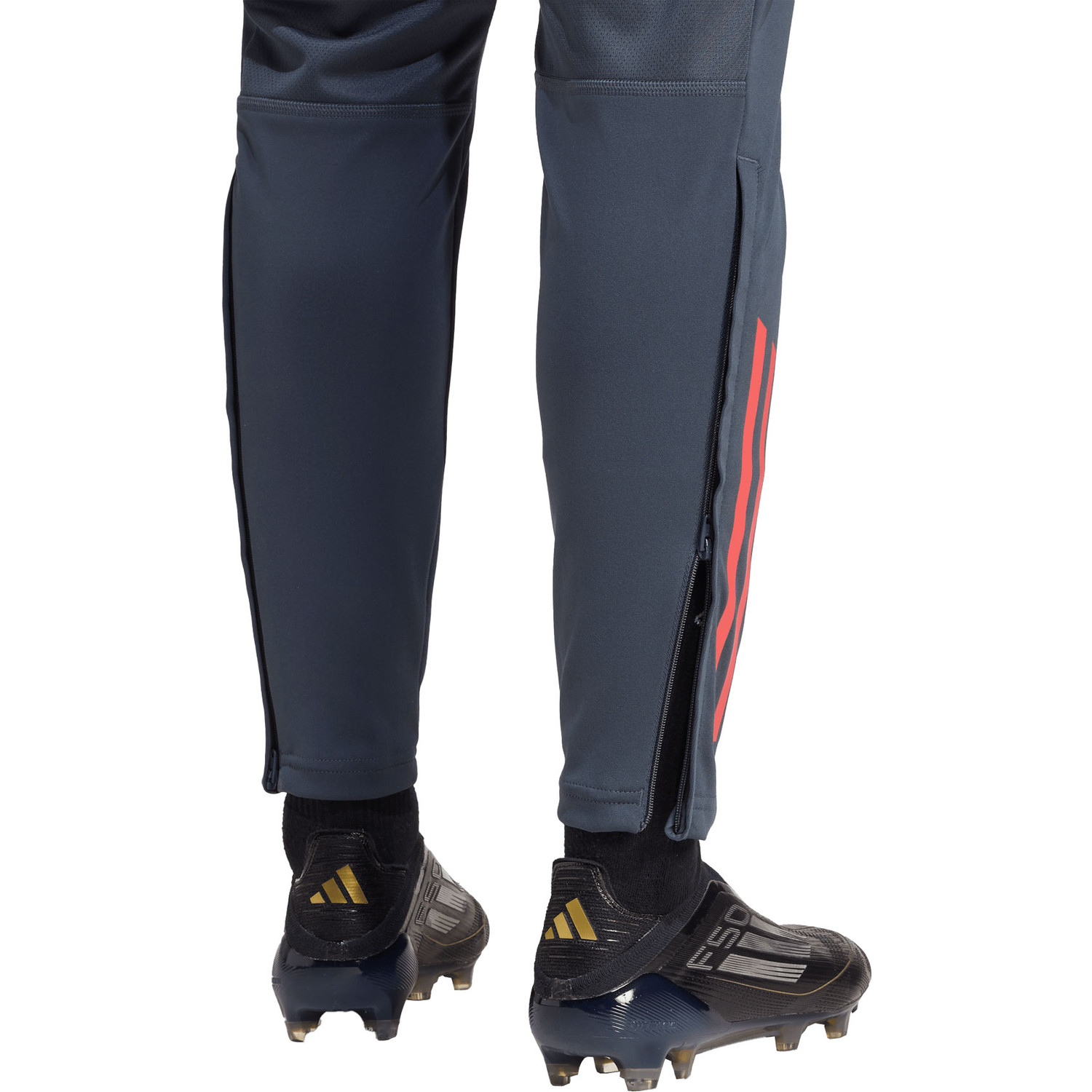adidas Bayern München Training Pant Dames