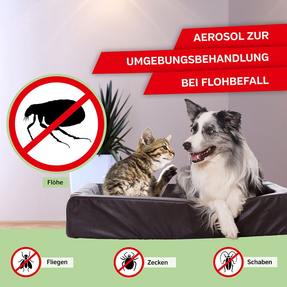EktoDerm® Umgebungsspray