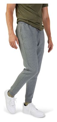 Jogging Fox Head Gris clair