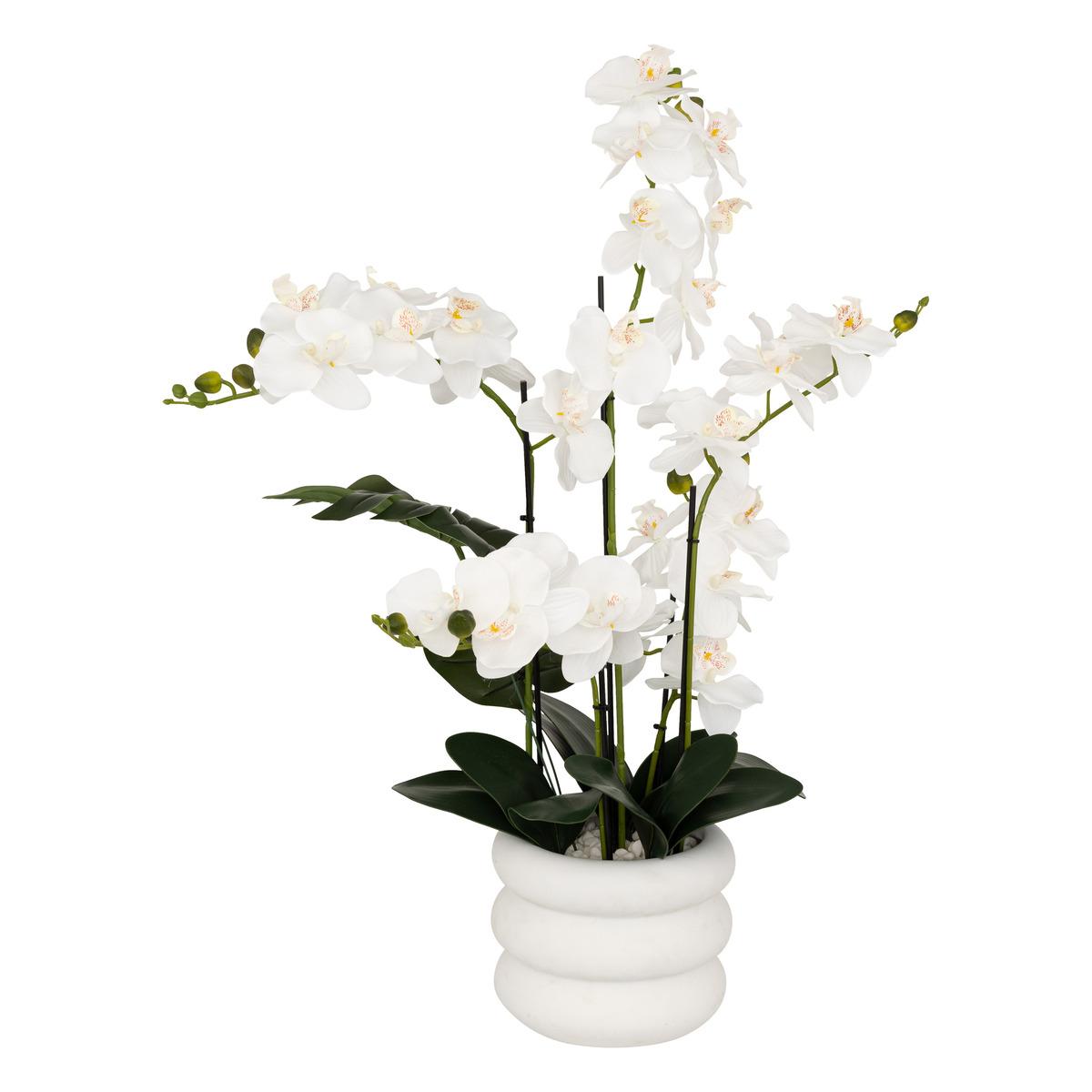 ORCHIDEE POT CIMENT MICK BLANC H.80CM
