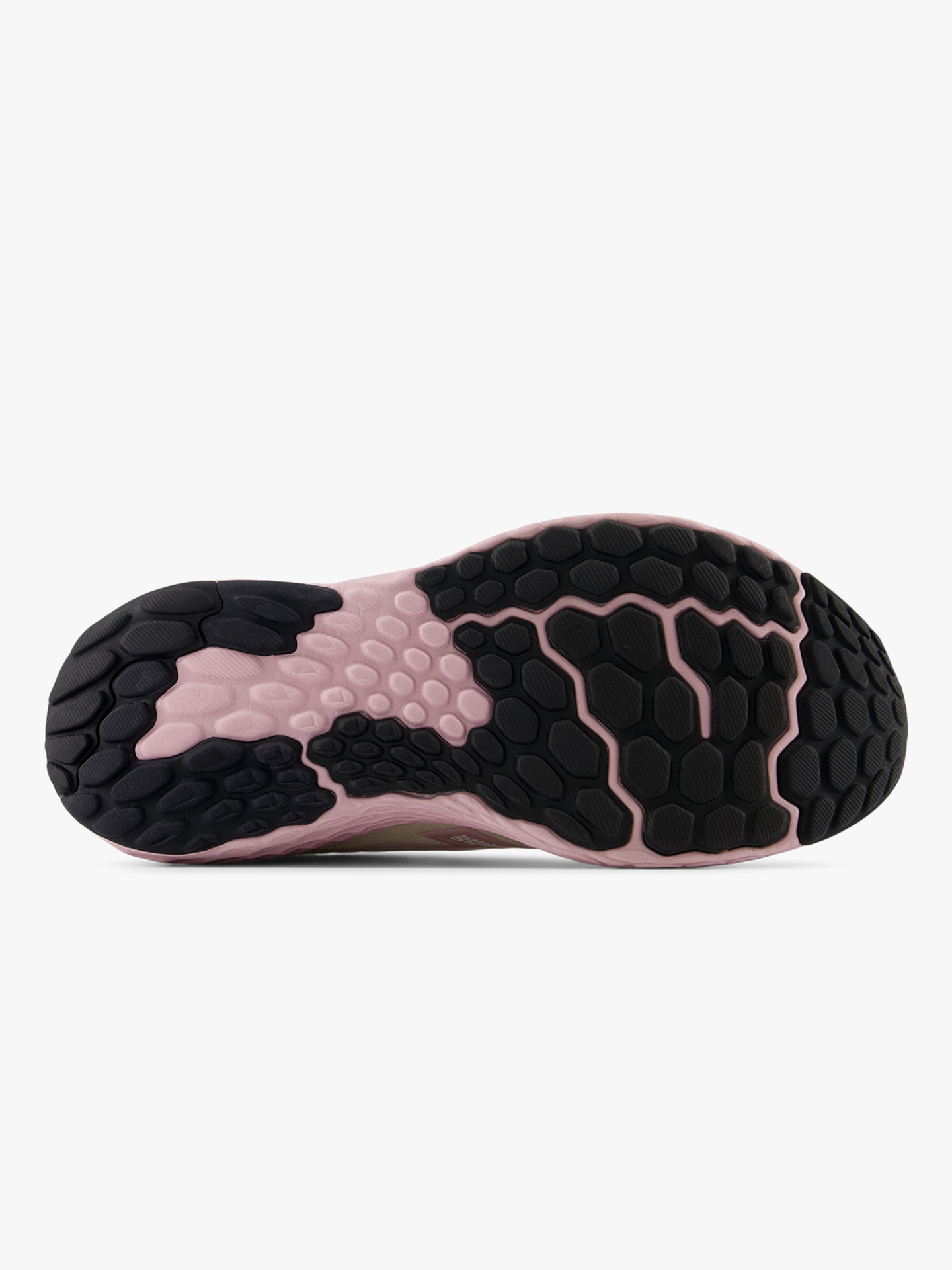 FreshFoam Evoz v4