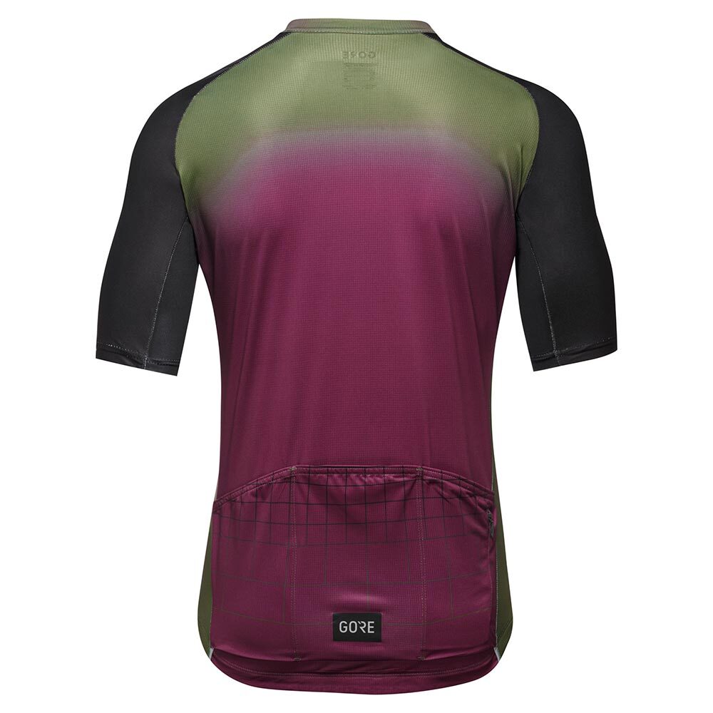 GORE Wear Grid Fade 2.0 Fietsshirt Korte Mouwen Groen Heren