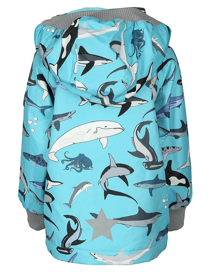 Übergangsjacke PETER SHARK in aqua