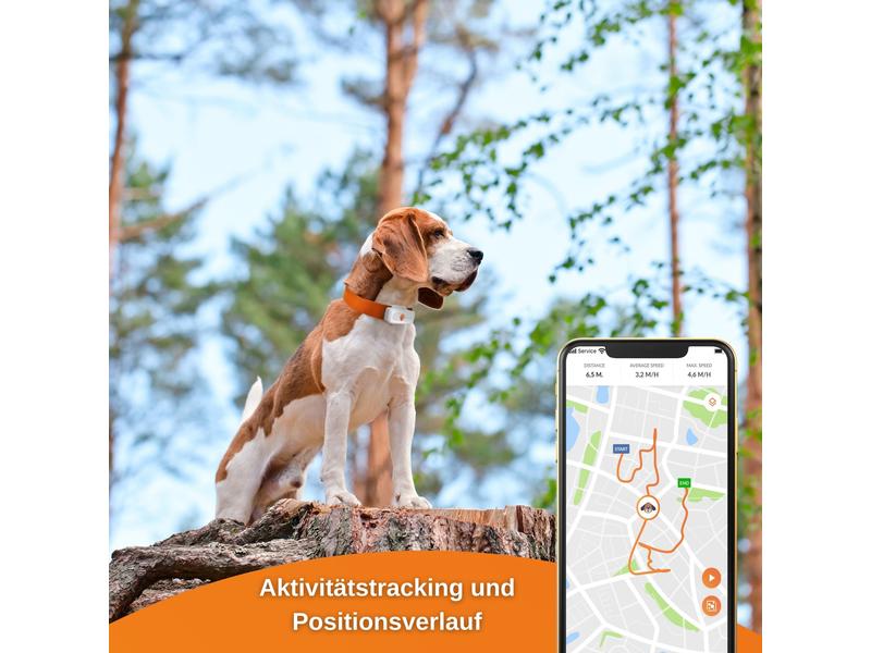 Weenect GPS-Tracker XS für Hunde, Weiss Der kleinste GPS-Tracker für Hunde mit integrierter Taschenlampe
