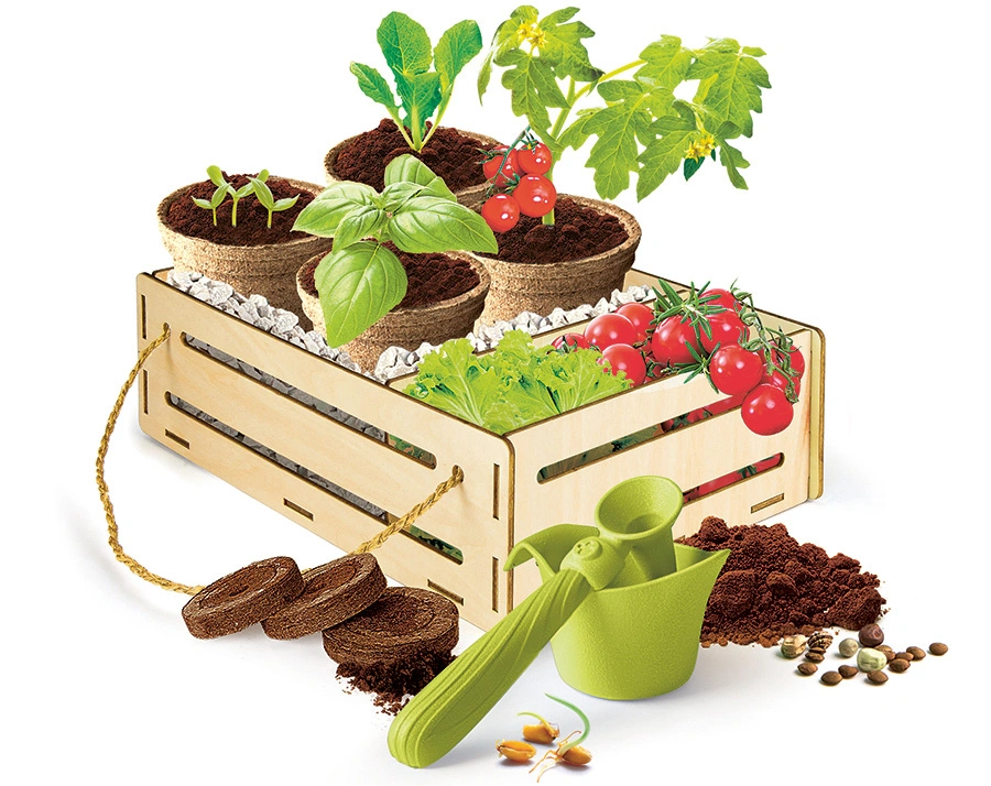 Mein Garten-Set (Experimentierkasten)