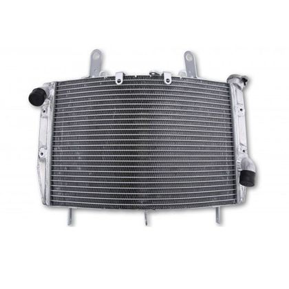 Radiateur Brazoline A EAU ADAPTABLE