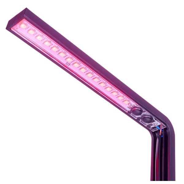 Rockboard LED Light UNI