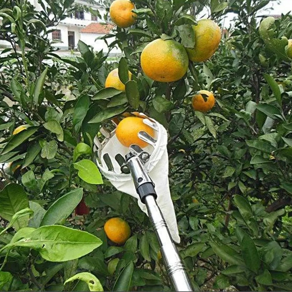 (Ø15cm) Obst Pflücker mit Stoff Beutel Outdoor Garten Früchte Greifer für Äpfel / Orangen / Birnen