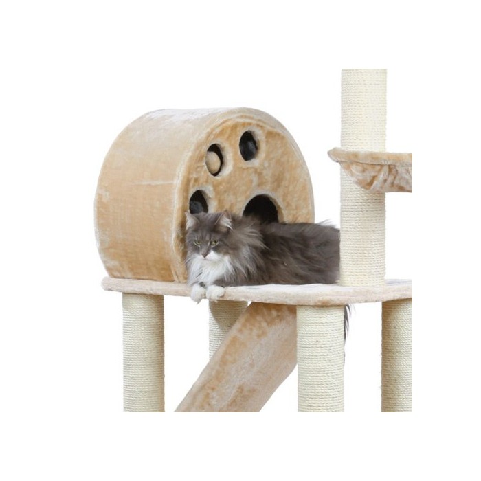 Arbre à chat Allora