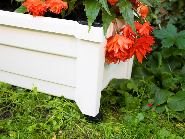 Plantenbak met wielen