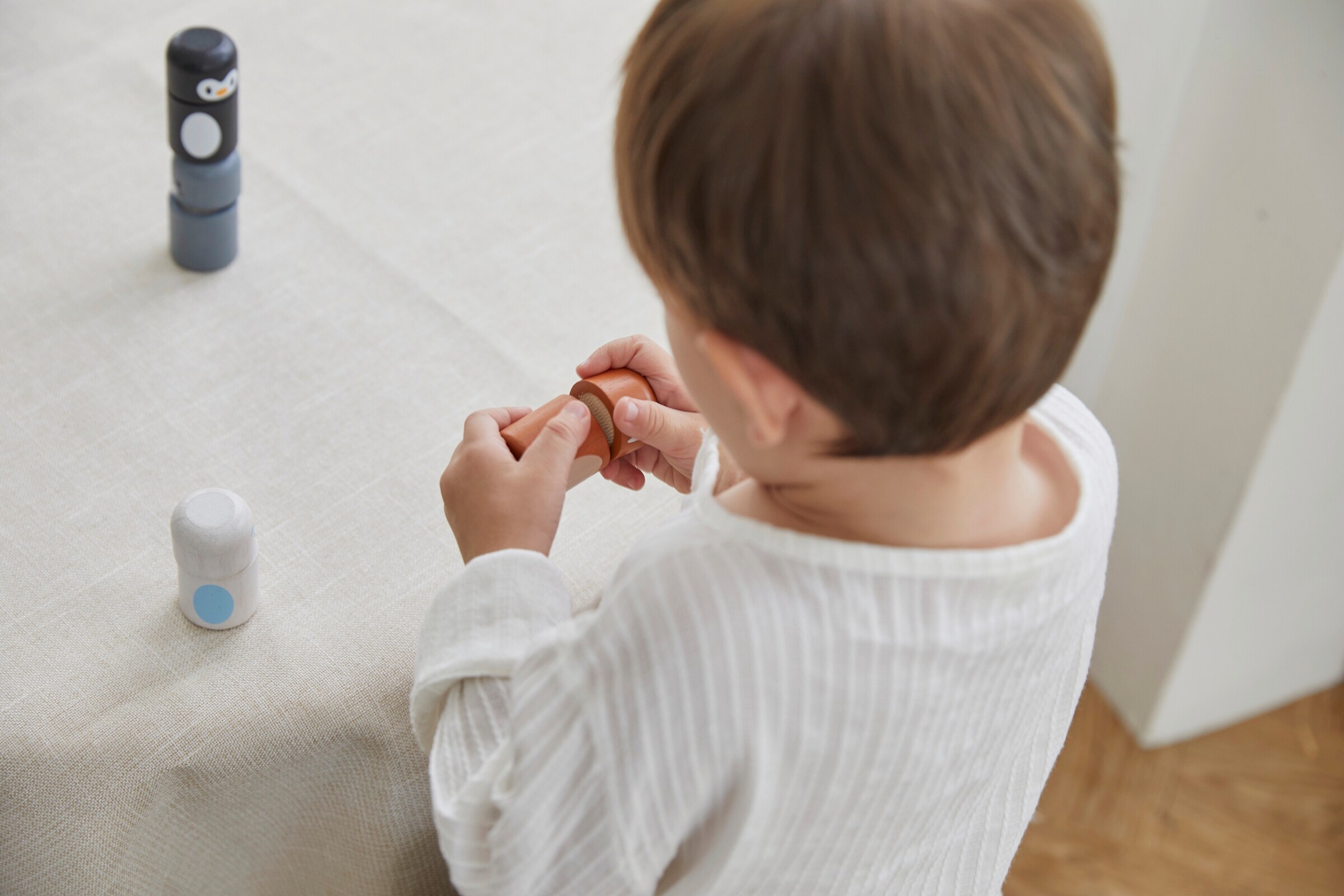 PlanToys Polartiere sortieren