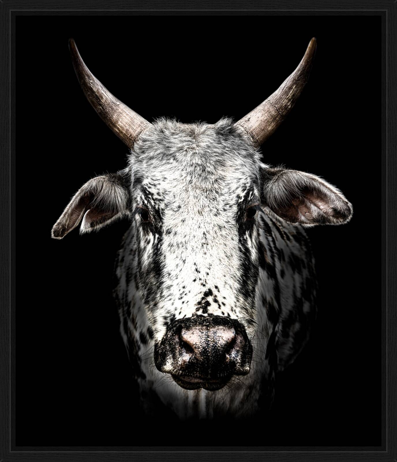 India by Claudio Gotsch - Limited Edition. Edition of: 150. Signed.