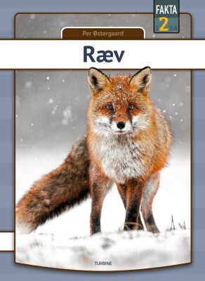 Ræv - Per Østergaard - Bog