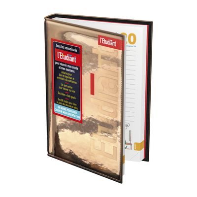 Agenda L'Etudiant - 1 jour par page - 12 x 18 cm - or rose - Hamelin