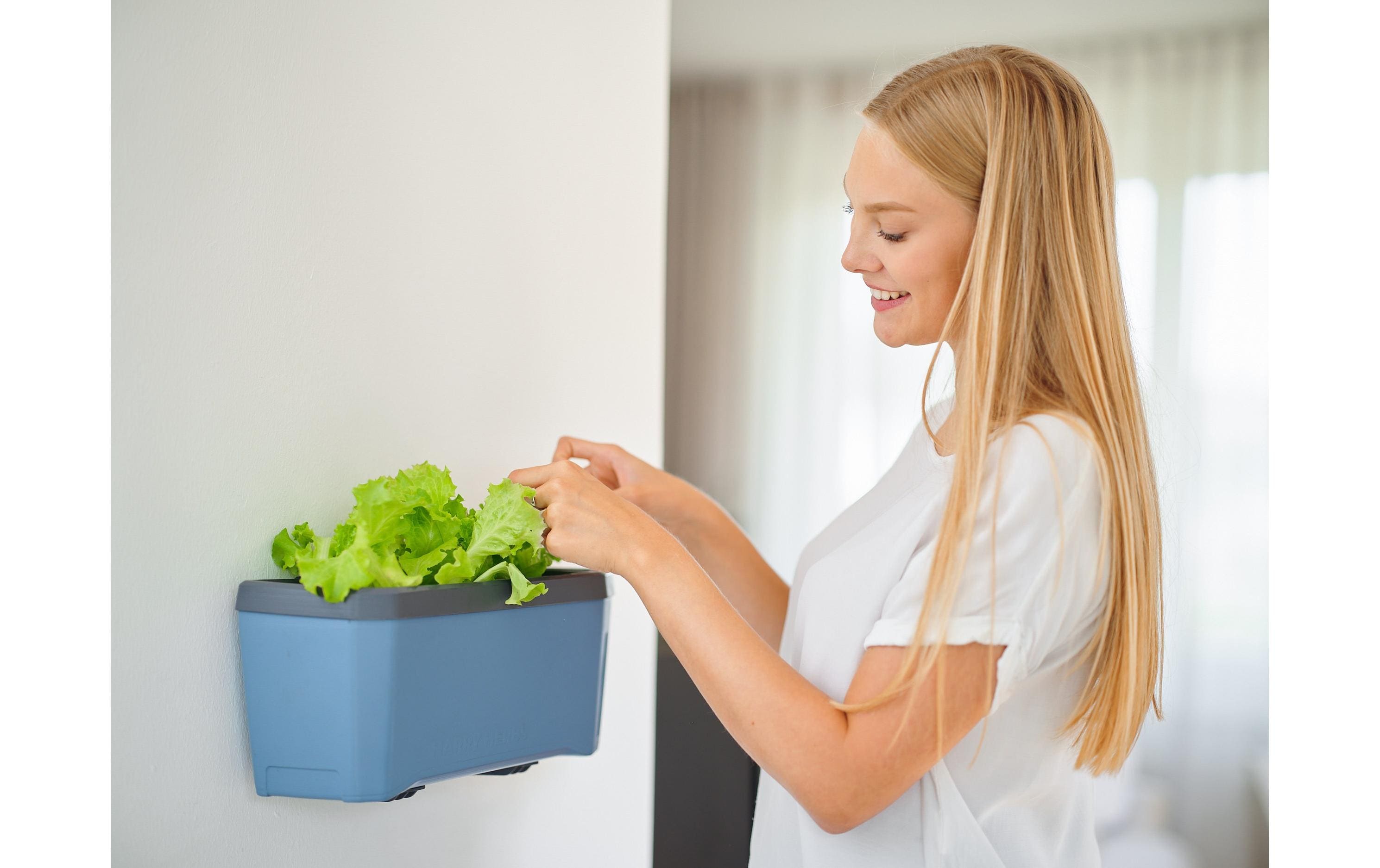 Wandhalterung HARRY HERBS, SchwarzSpezielle Halterung für Kräutertopf