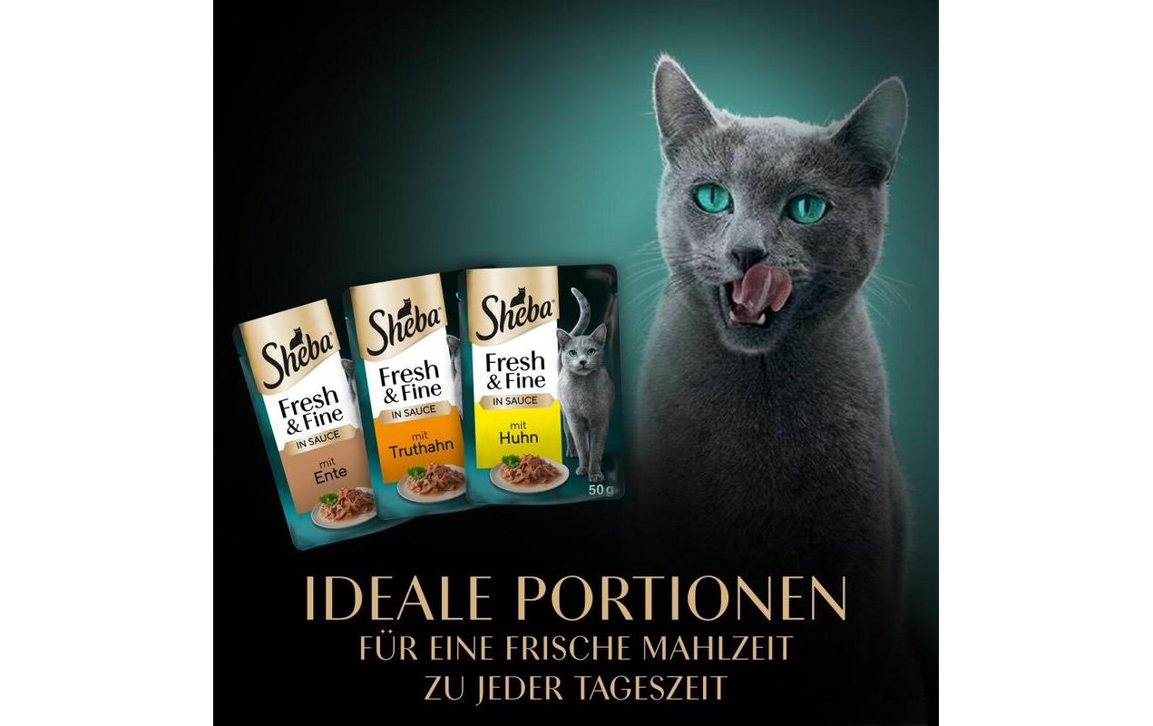 Nassfutter Sauce mit Huhn, Truthahn und Ente, 6 x 50gAlleinfuttermittel für ausgewachsene Katzen