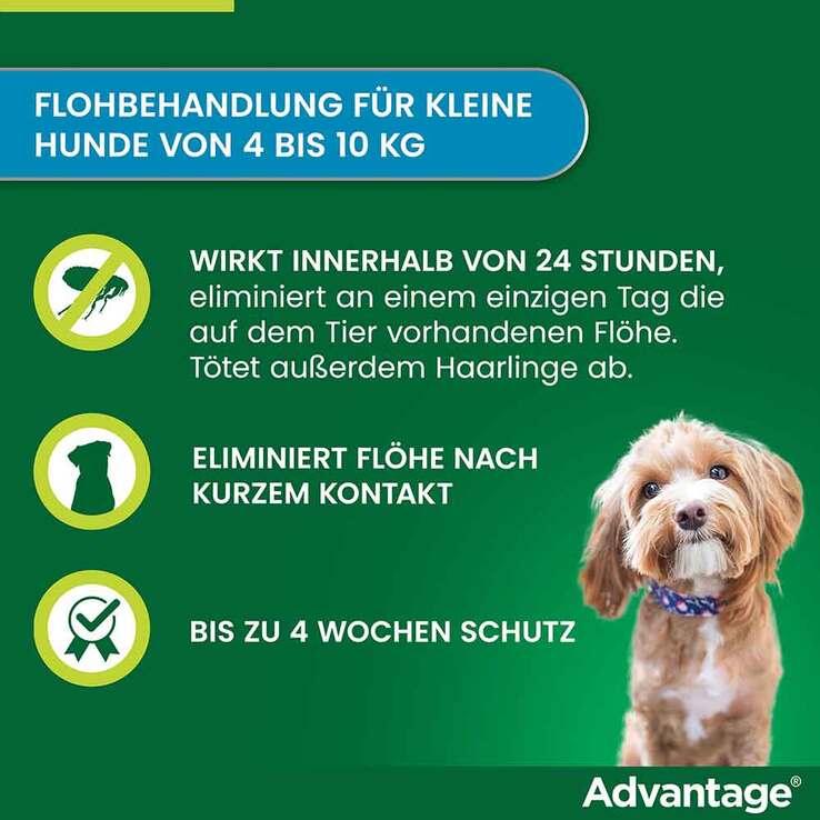 Advantage 100 für Hunde von 4-10 kg, 4 St