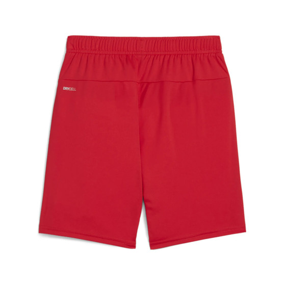Puma GOAL Training Short Kids