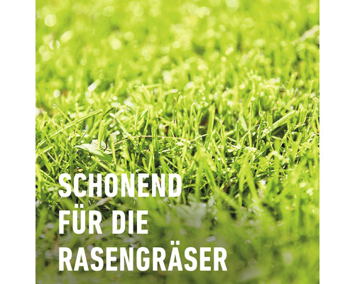 Onkruidverdelger voor gazons COMPO Banvel® Quattro 10 ml 10 m² Enkele dosis