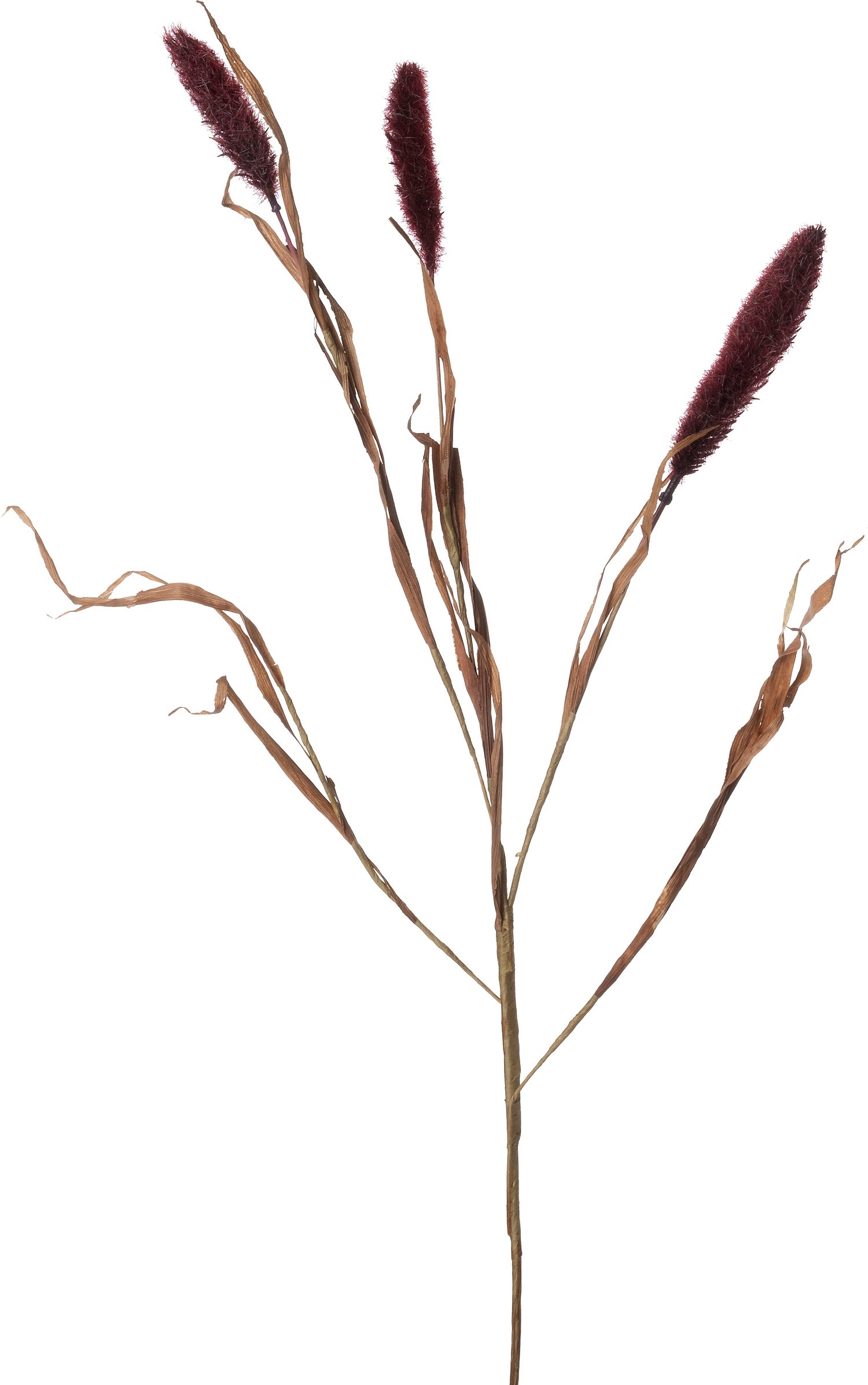 Intratuin kunsttak Lampenpoetersersgras rood 94 cm