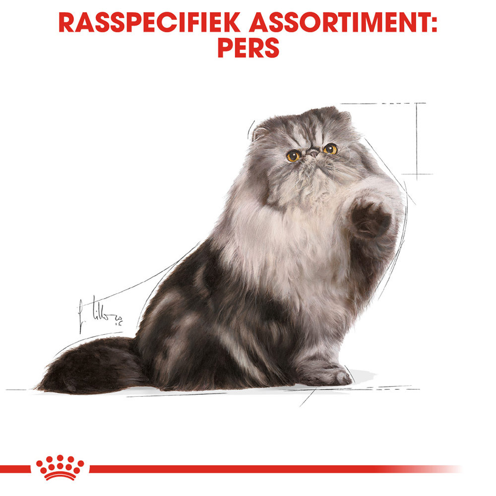 Royal Canin Persian Adult Wet - Kattenvoer