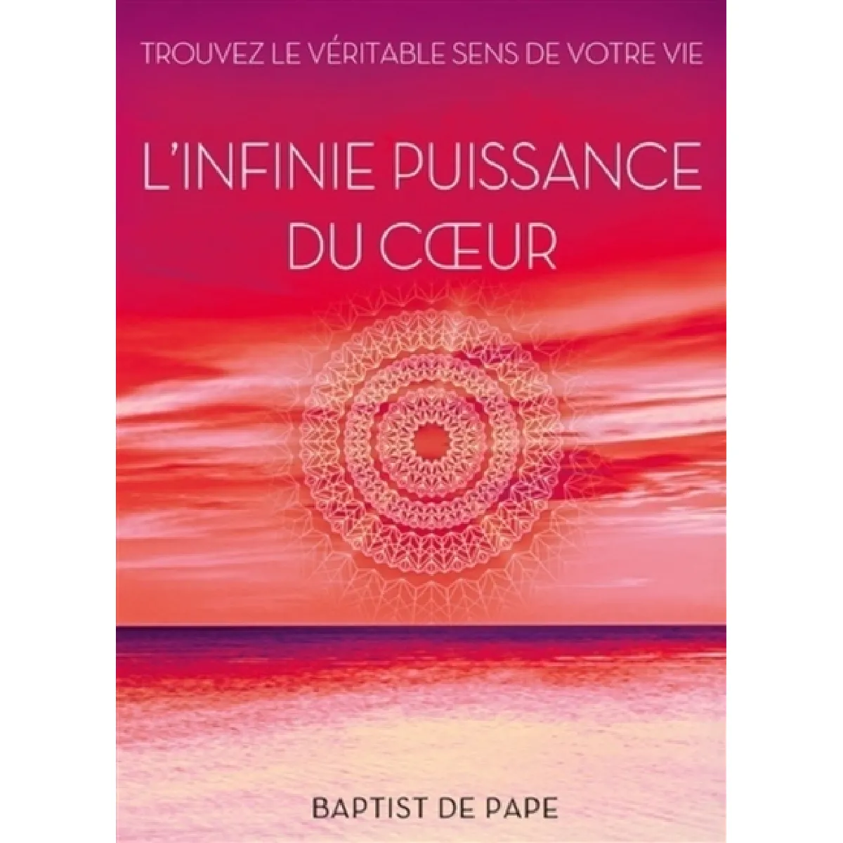 L'infinie puissance du coeur : trouvez le véritable sens de votre vie · Occasion