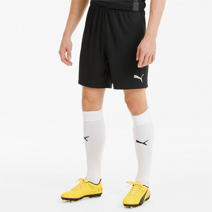 Puma Teamgoal 23 Knit shorts Sort