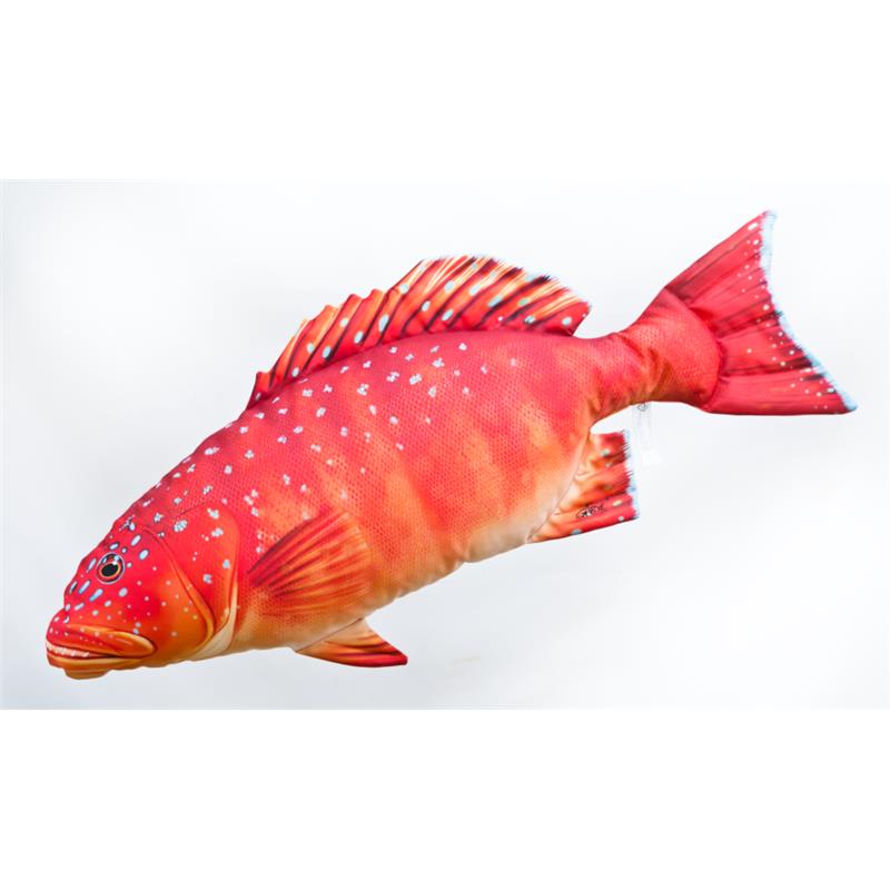 Coussin Truite De Corail Gaby