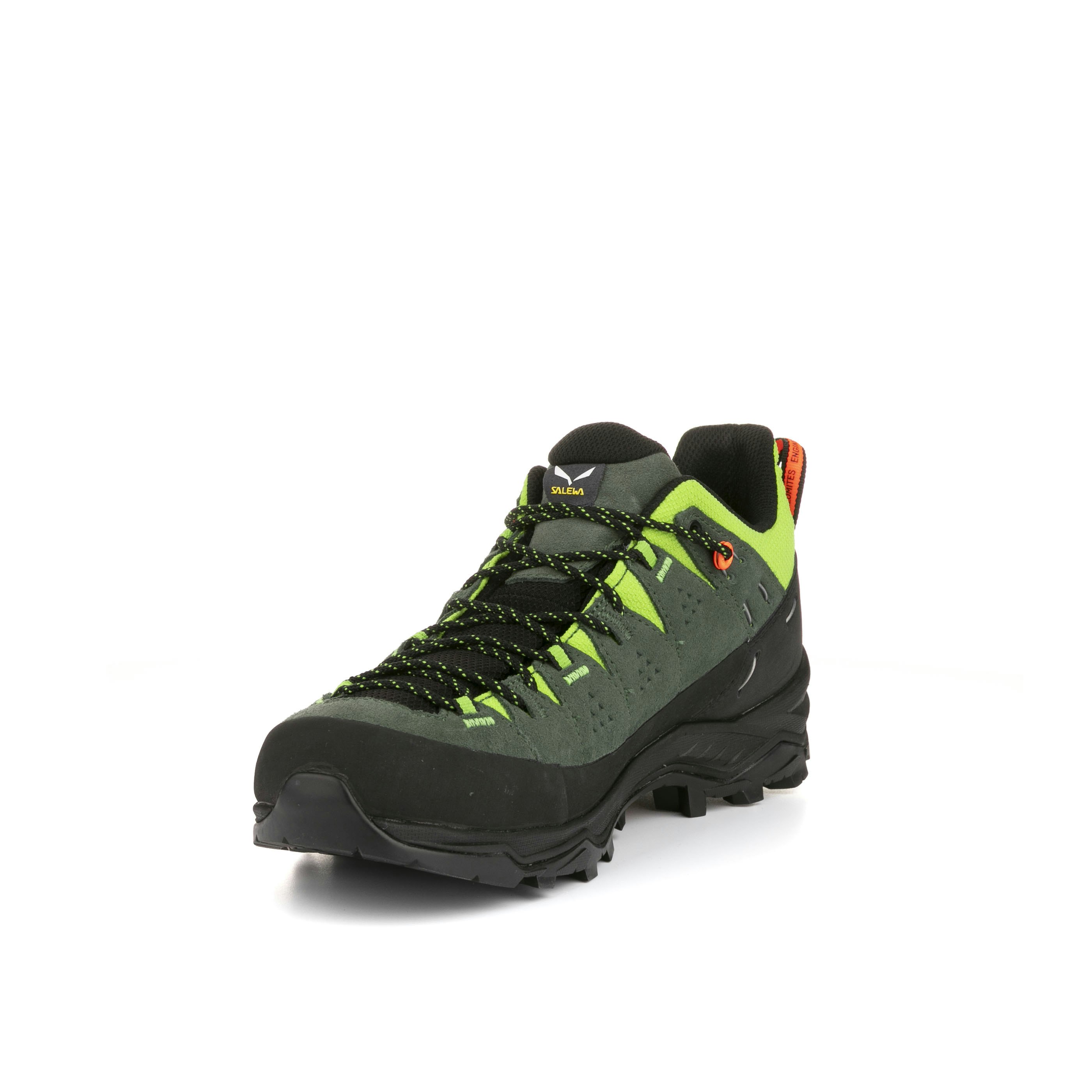 Alp Trainer 2 Schuh Herren