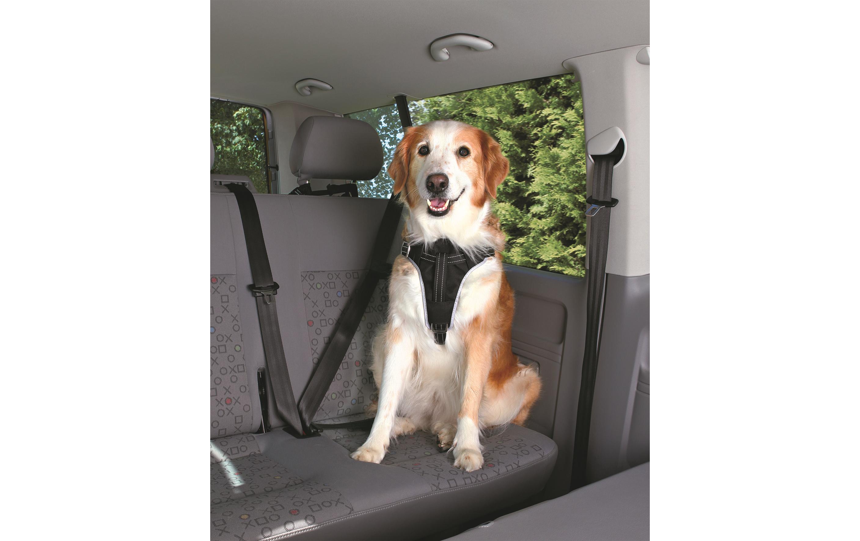 Auto-Geschirr Dog Protect S-MZur Befestigung beim Autofahren