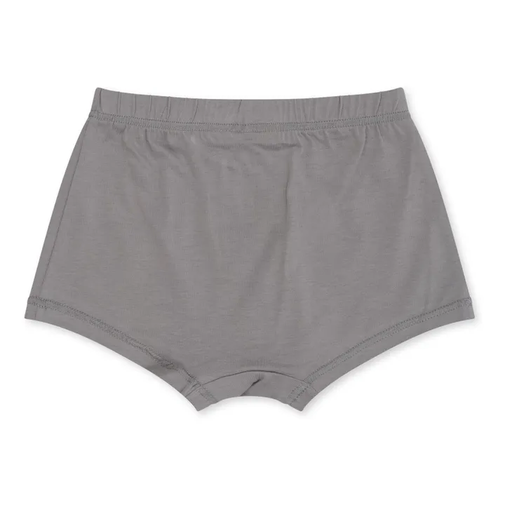 Konges Sløjd Lot 2 Caleçons Coton Bio Eléphants | Gris