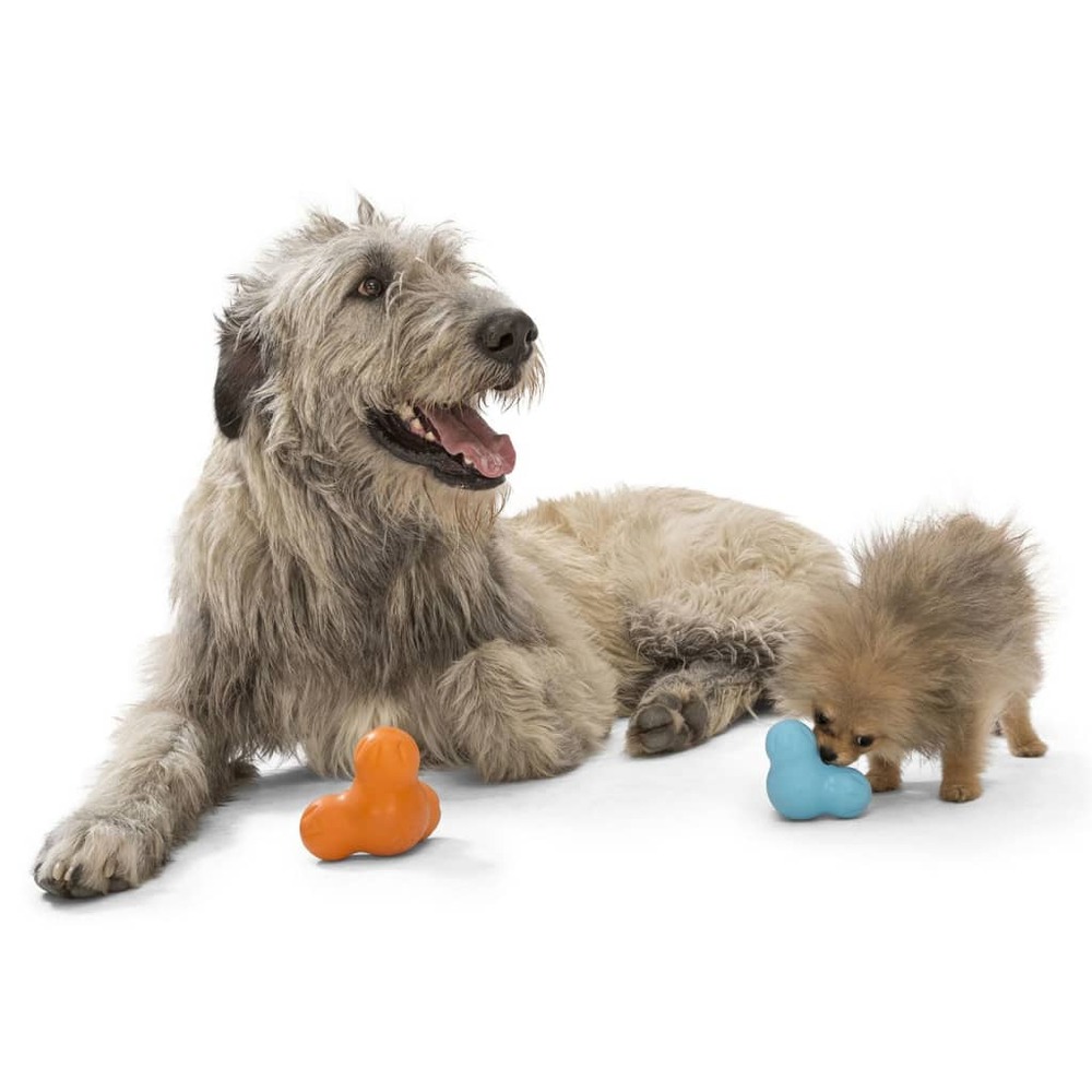 Jouet pour chiens avec zogoflex tux aqua bleu l