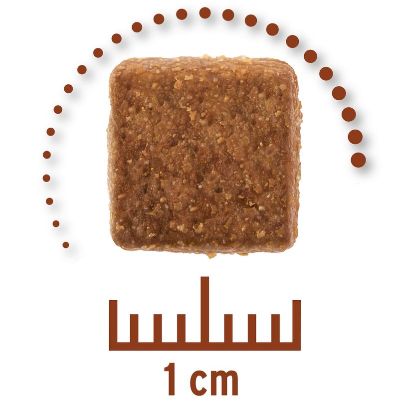 Concept for Life Veterinary Diet Gastro Intestinal