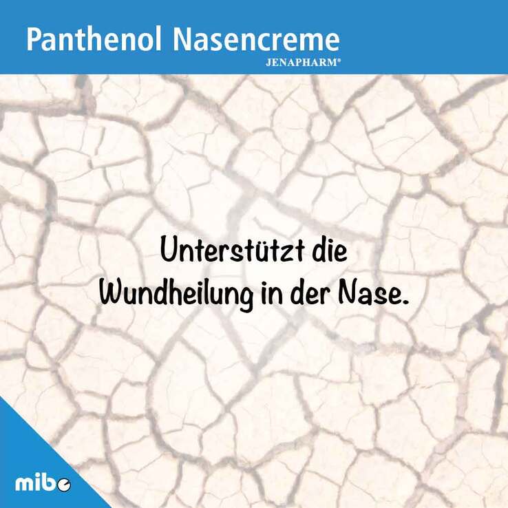 Panthenol Nasencreme Jenapharm, 5 g