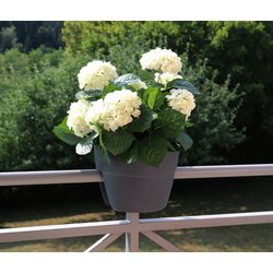 Pot pour balustrade 'OSAKA' (L)560x(P)300 mm, anthracite
