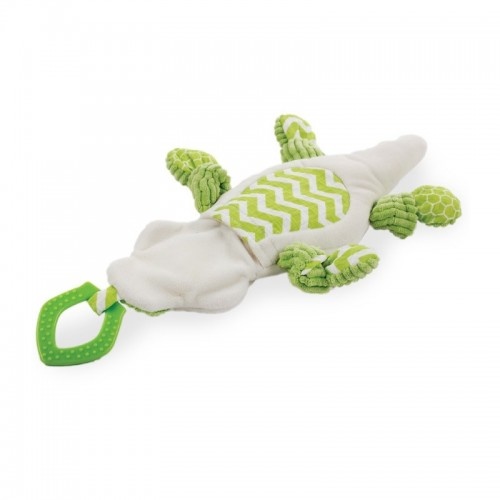 All for Paws Crocodile Dental Branco e Verde para Filhotes