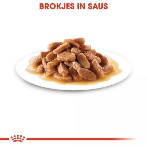 Royal Canin Maxi Puppy - Hondenvoer - 1400 Gram - gevogelte