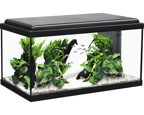 Aquatlantis Advance 60 aquarium met LED-verlichting, filter, verwarming (zonder kast), zwart, ca. 60 x 30 x 34 cm, ca. 54 L