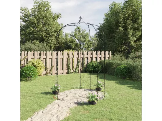 Arche de jardin Noir Ø180x255 cm Acier