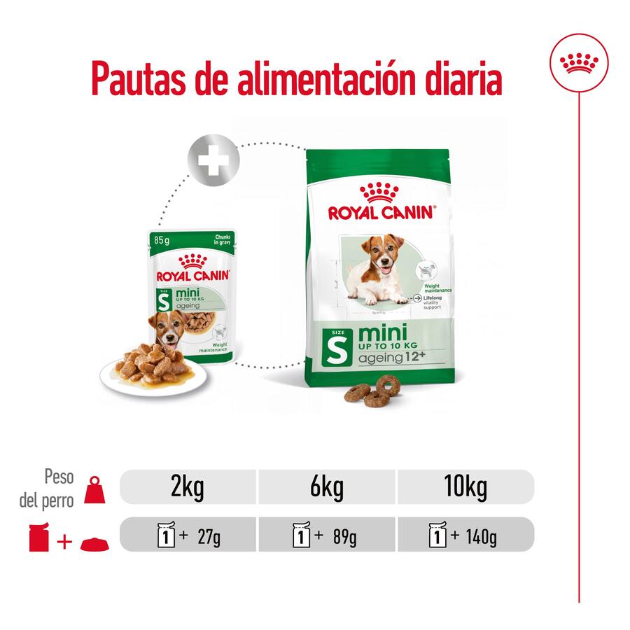 Sachês Royal Canin Mini 12+ para cães idosos em molho.