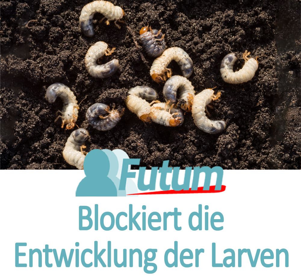 FUTUM 5L Zecken- / Mückenspray + TRIGGER