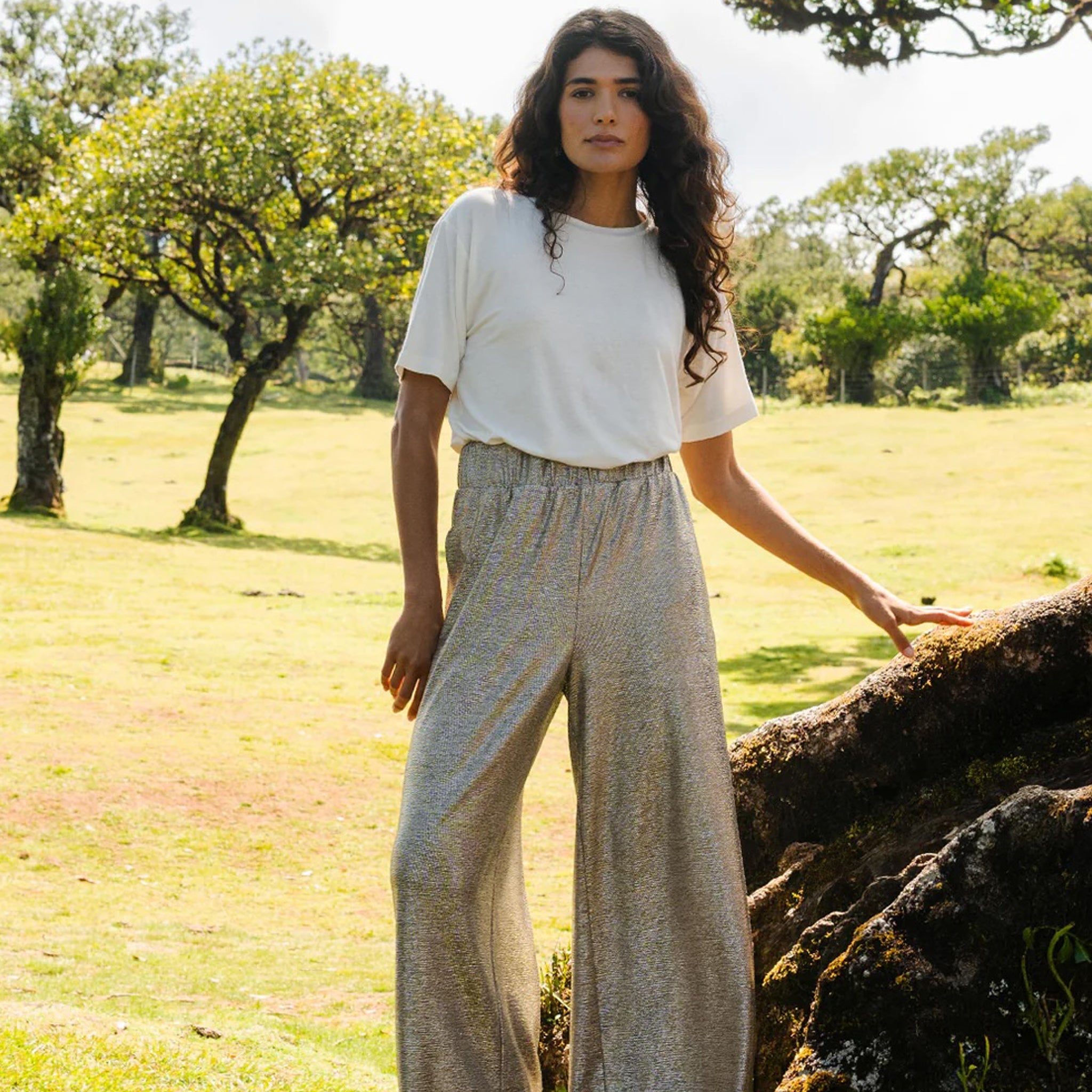 Adult Hose Milan Desert Disco Silver
