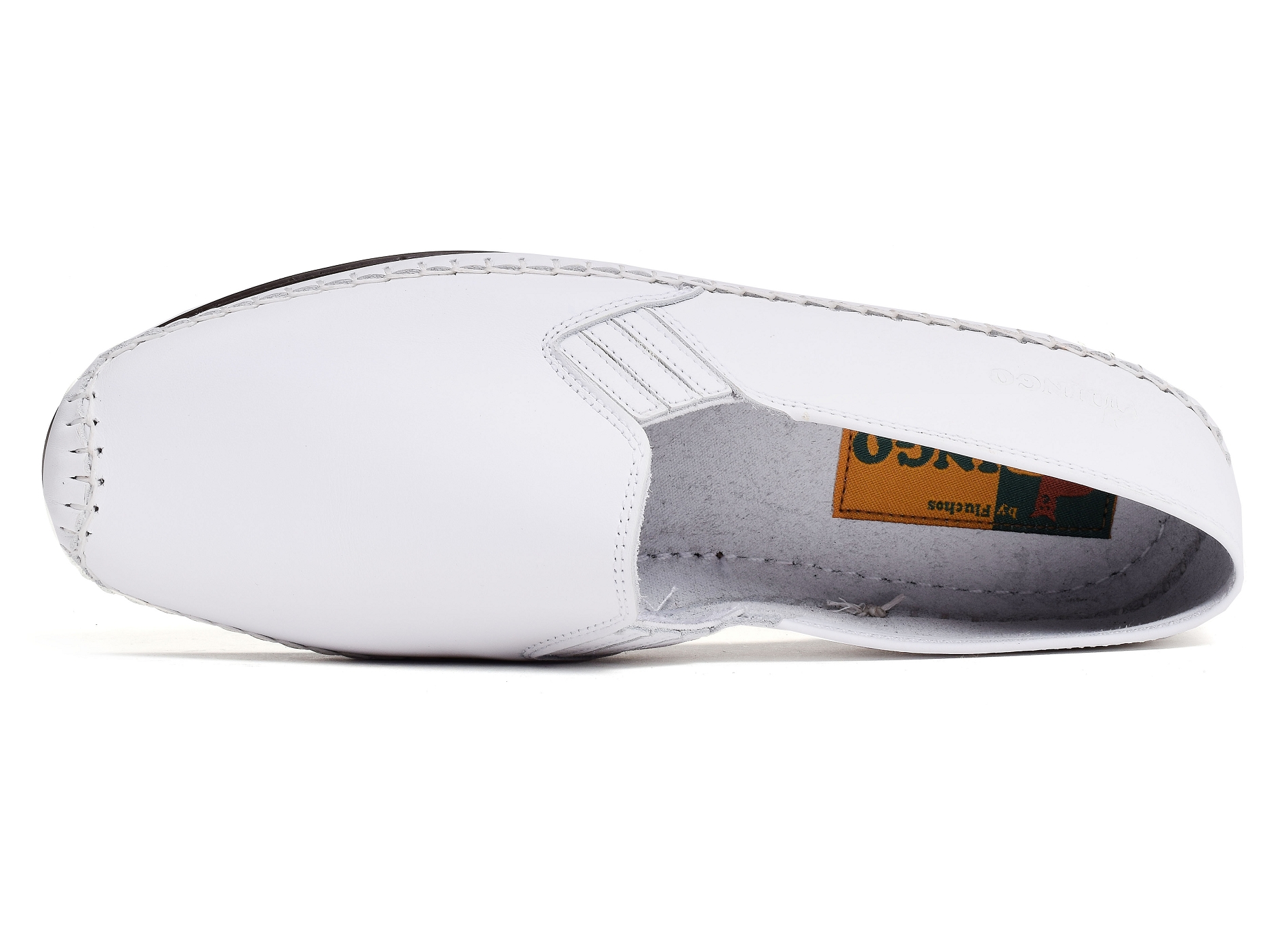 Pacific dingo 106 blanc