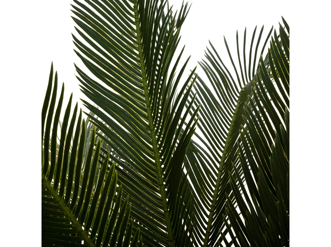 Plante artificielle Ananas en pot H 90 cm