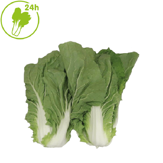 Dagverse Royal Cabbage 500g
